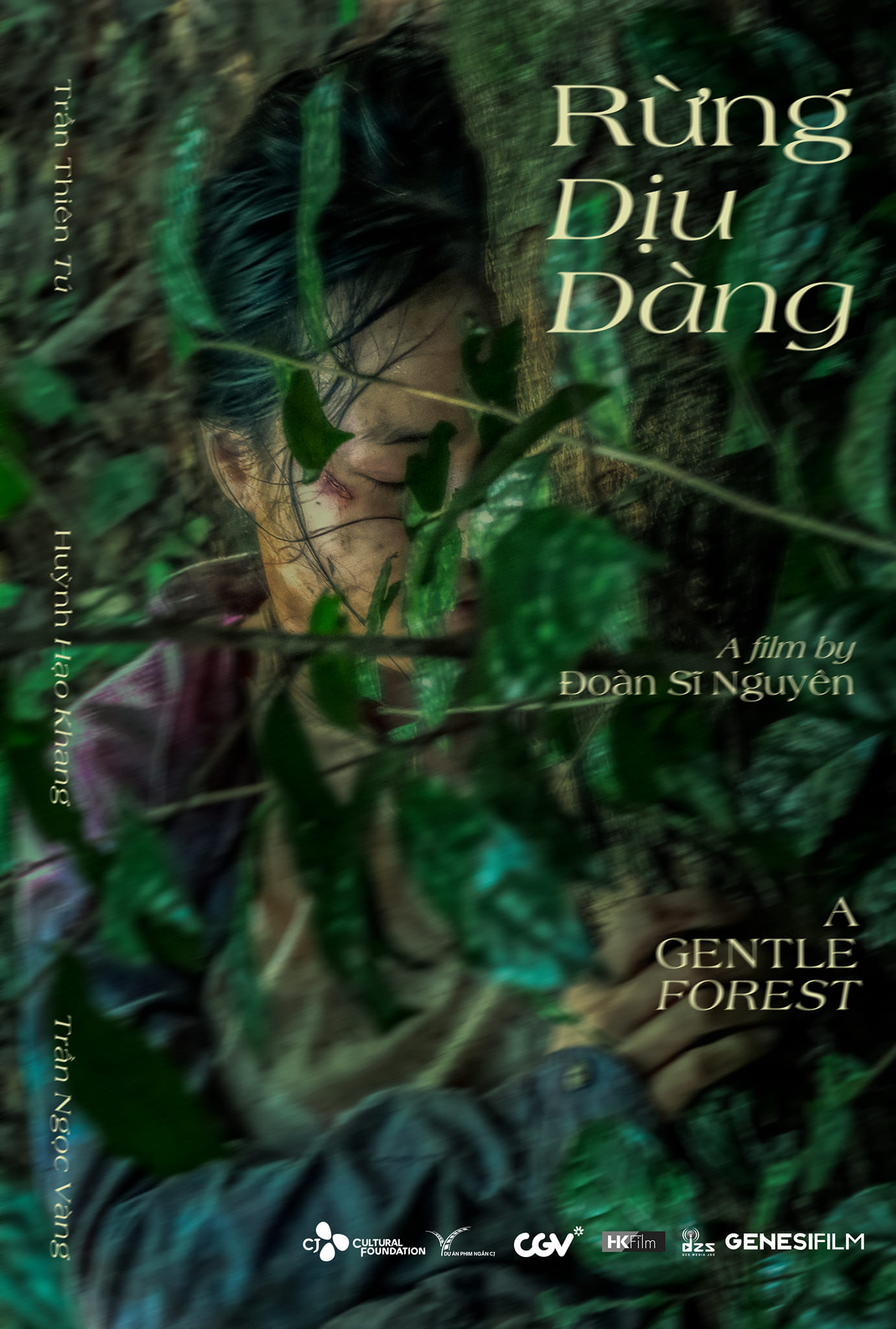 Rừng Dịu Dàng
